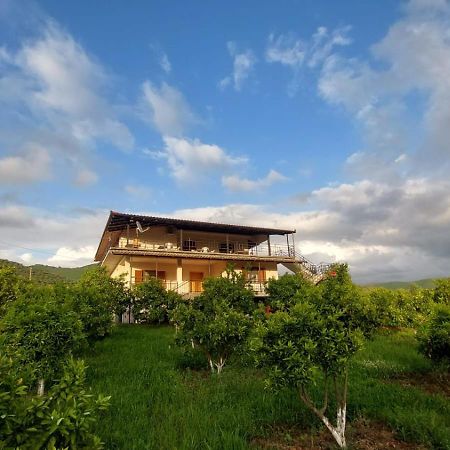 Guest House Xhaferaj Berat Exterior photo